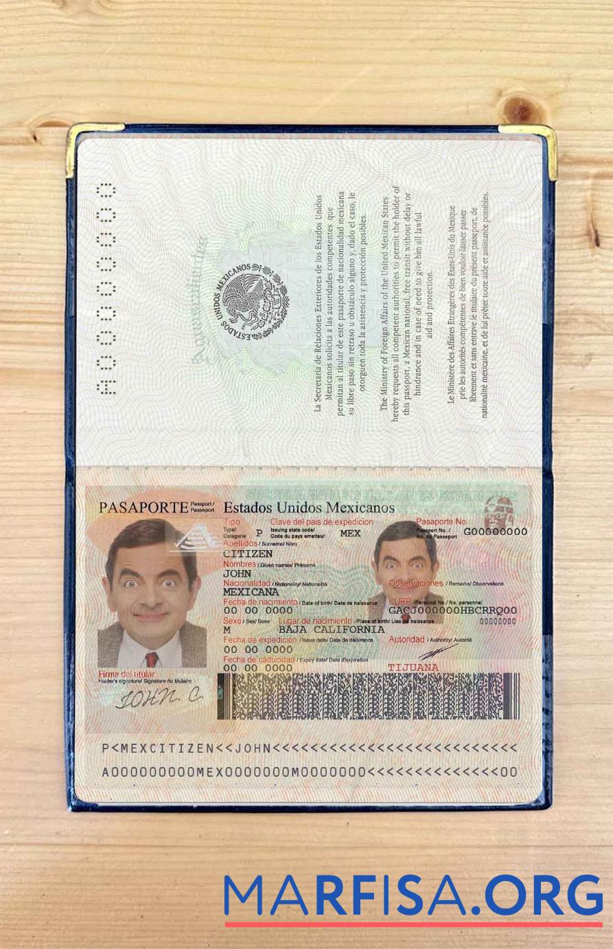Realistic Mexico passport photo look real example